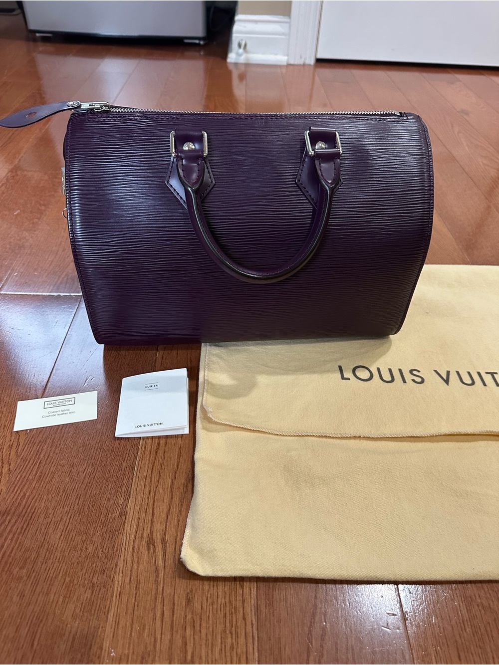 Louis Vuitton Epi Speedy Bag in Deep Plum